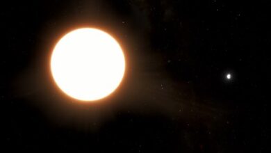 Astronomers space the shiniest exoplanet ever learned