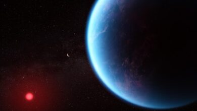 James Webb sees proof of an ocean-coated ‘Hycean’ exoplanet