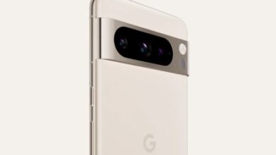 This Google Pixel 8 worth rumor has me the truth is, the truth is vexed