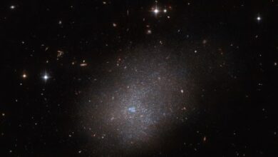 Hubble captures a intelligent cloud galaxy positioned gorgeous next door