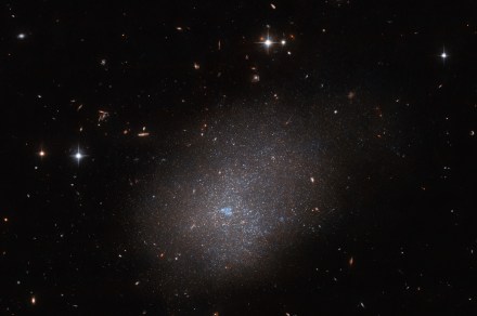 Hubble captures a intelligent cloud galaxy positioned gorgeous next door