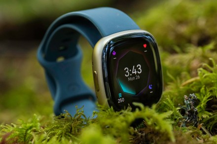 Fitbit Sense 2 fitness-tracking smartwatch correct got a wide sever worth