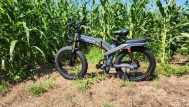 Engwe X24 review: Plump tires, chubby cost