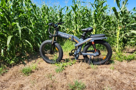 Engwe X24 review: Plump tires, chubby cost