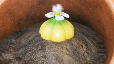 All Flarlic areas in Pikmin 4