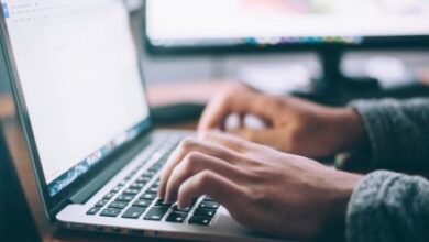 High authors depend on charge from AI firms for the usage of their work