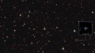 James Webb spots broken-down mud that will presumably well perchance also very effectively be from the earliest supernovas