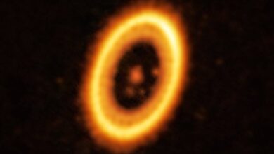 Astronomers goal first proof of two planets sharing the the same orbit