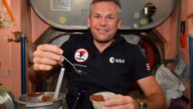 Chocolate mousse in space is more important than you think