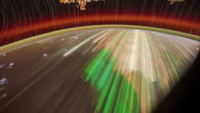 Astronaut’s jaw-dropping photo displays a assorted possess of ‘aurora’