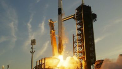 Glance SpaceX open a reduction crew for ‘stuck’ Starliner astronauts