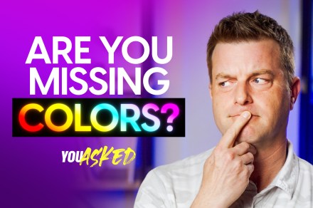 You Requested: Clarity on quantum dots, and why screens can’t match TVs