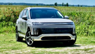 With the Ioniq 9, Hyundai struggles to determined its have excessive bar