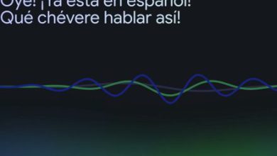 Google adds Spanish and French to NotebookLM in nice language change