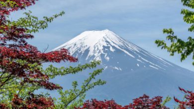 Mobile telephone rescue mission ends in failure for ‘foolish’ Mount Fuji climber