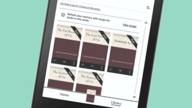 Kindles acquire Recap instrument to immediate web you up on the story progress