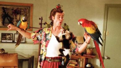 3 big free movies to stream this weekend (Might perhaps well also merely 2-4)